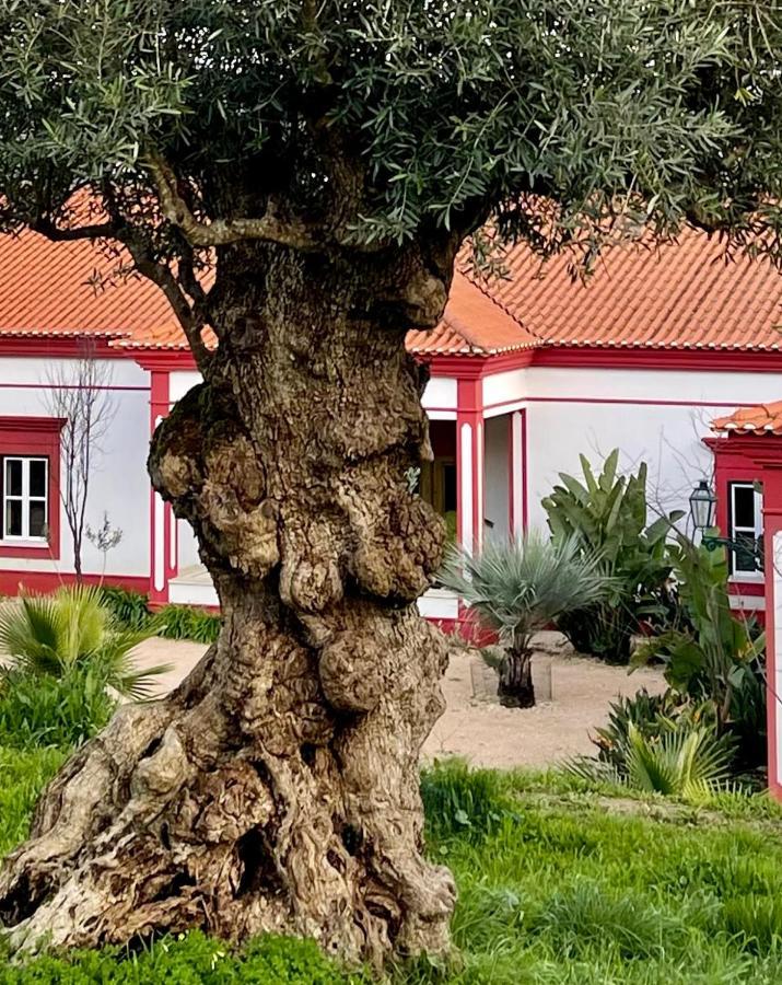 Best Luxury Boutique B&B Vista Do Vale Tomar Exterior photo