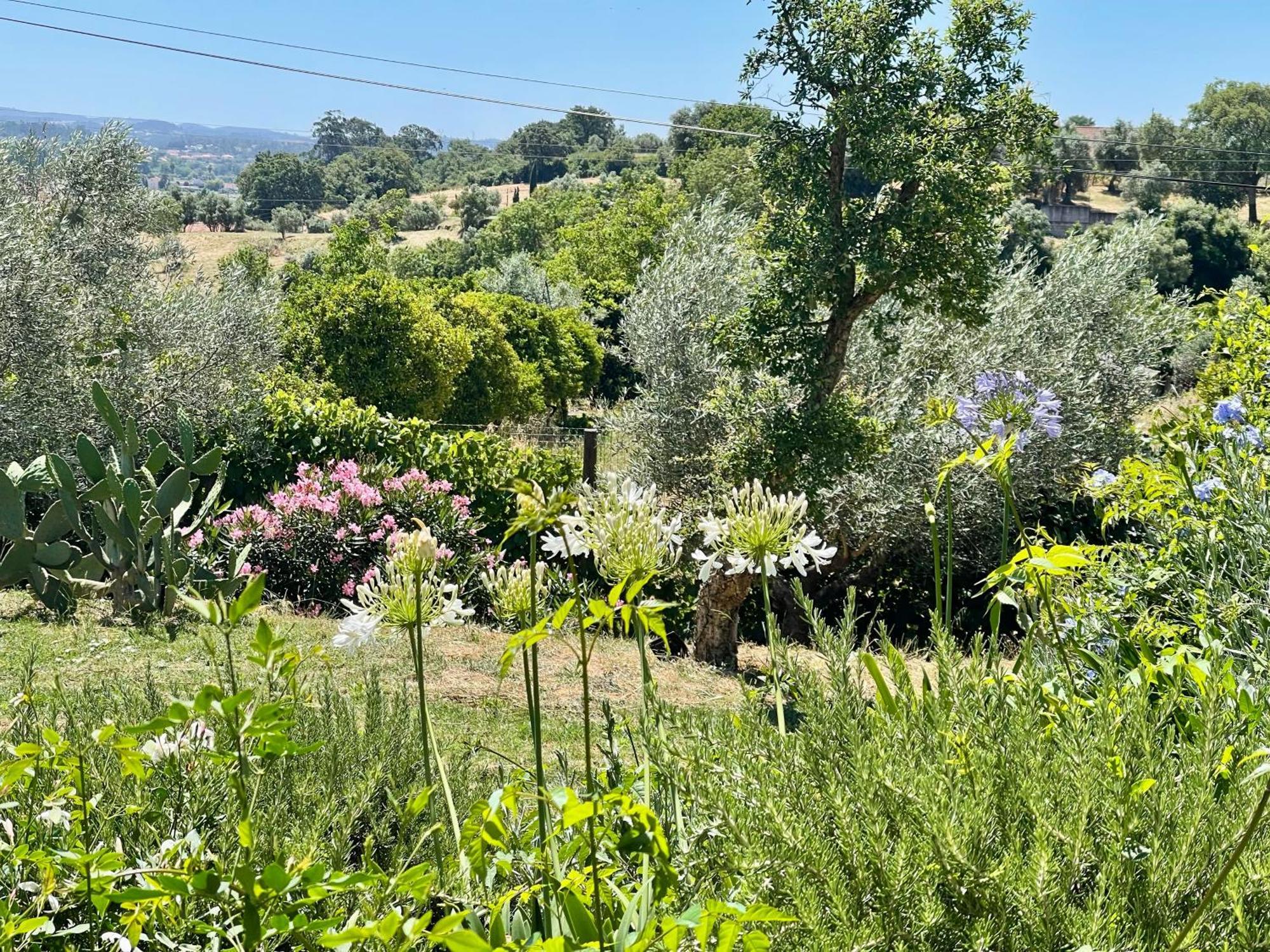 Best Luxury Boutique B&B Vista Do Vale Tomar Exterior photo